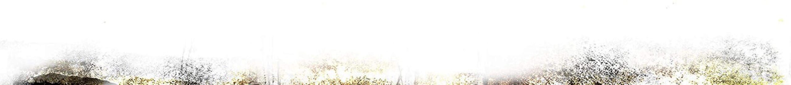 newsletter-background